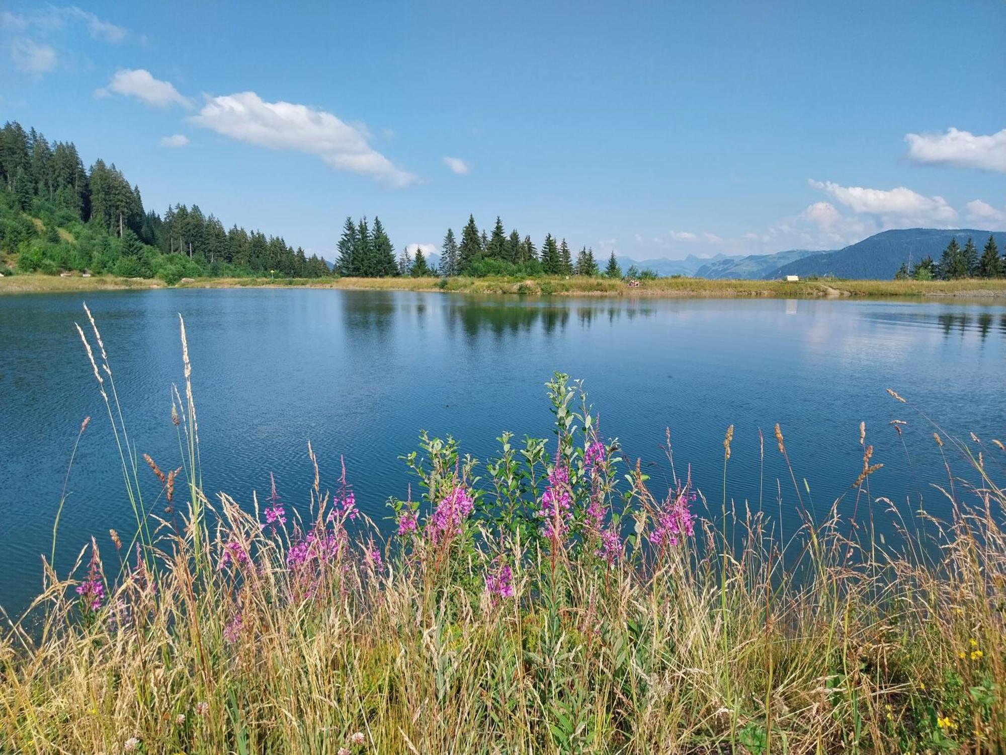 Landhaus Tirol Hopfgarten im Brixental Bagian luar foto